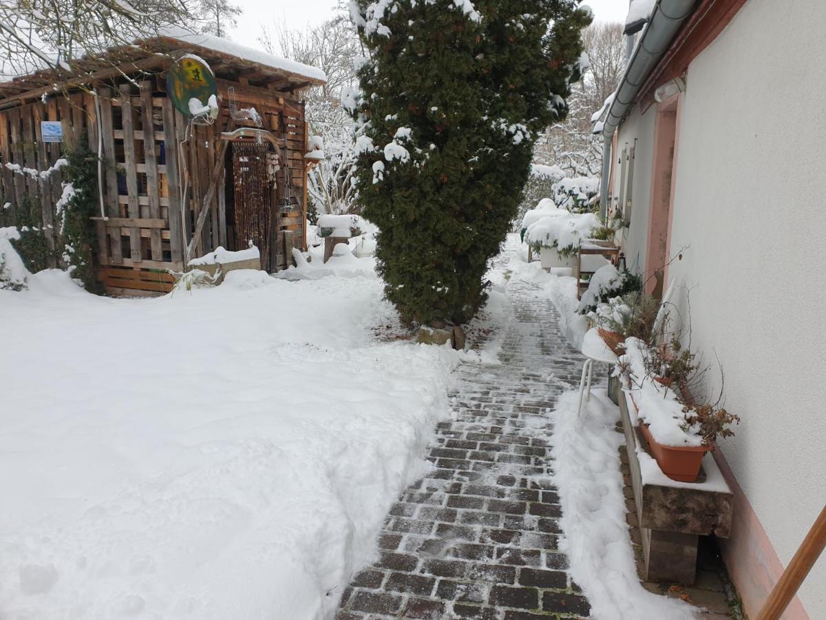 Unser Obervolkacher Ferienhaus-Einfach Gemuetlich! Volkach Exterior foto