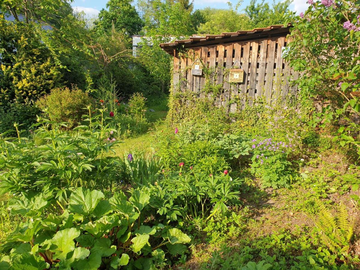 Unser Obervolkacher Ferienhaus-Einfach Gemuetlich! Volkach Exterior foto